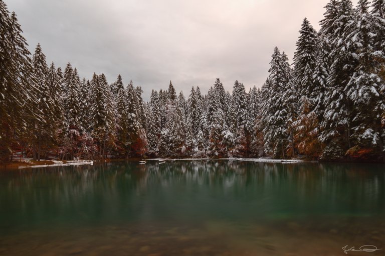 Snowy Mountains : Foggy Valley - little green lake in the woods