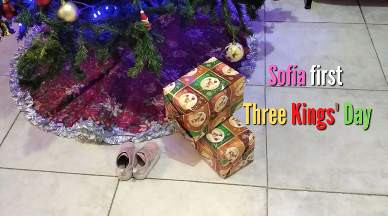 Sofía's shoes under the tree