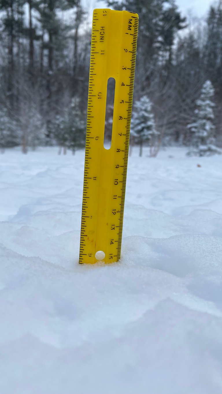 Six inches of Snow