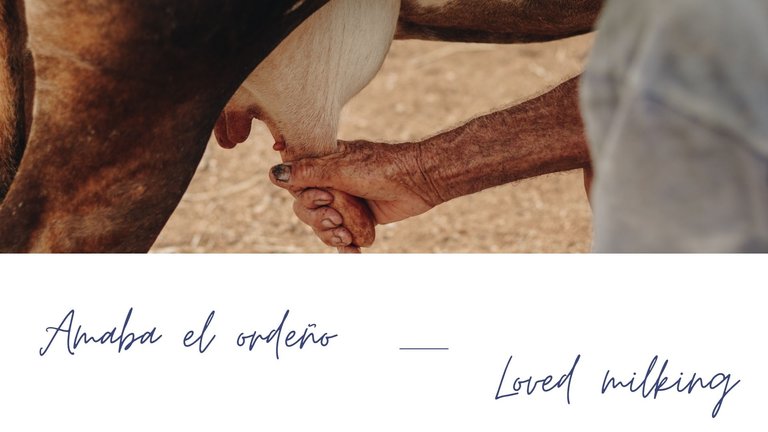 durazno_y_azul_simple_fotograf_a_presentaci_n_de_porfolio_2_.jpg