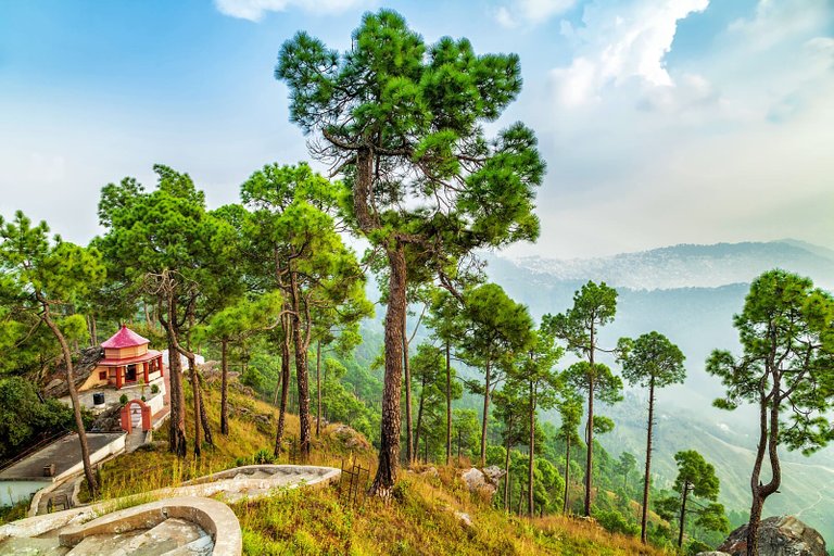 almora_kasar_devi_temple_149437089955_orijgp.jpg