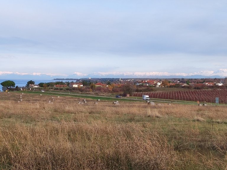 dajla_mountains_in_the_back.jpg