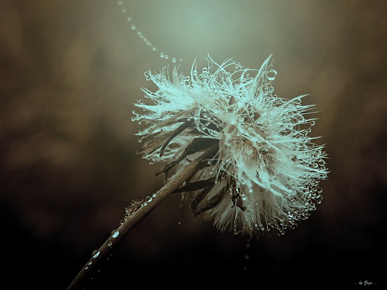 📸 Love for Photography and the Magic of Photoshop - Part Two