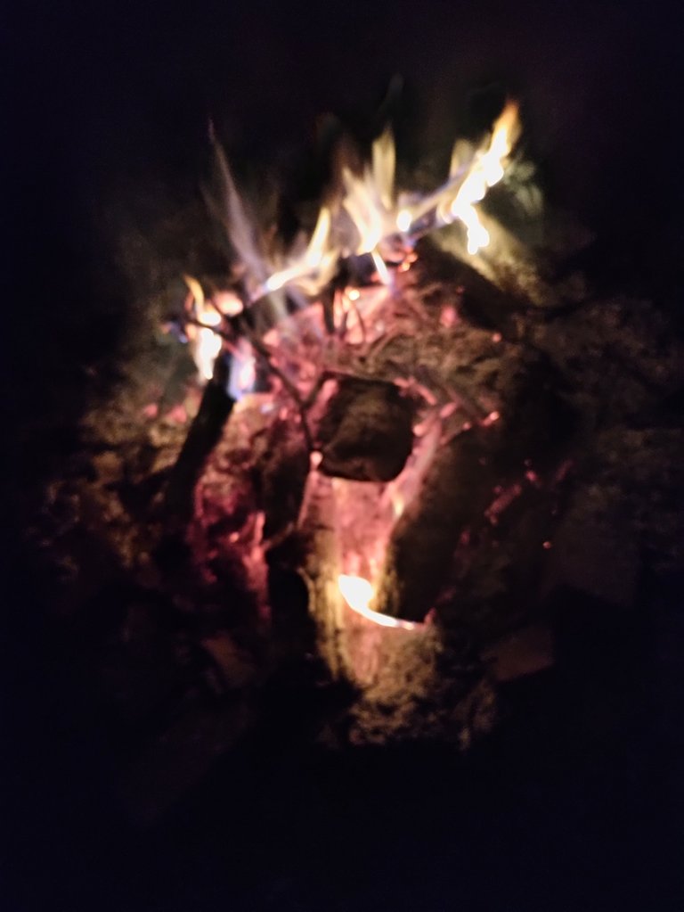 Last night's fire in the firepit