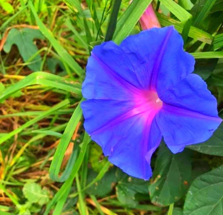 img_1886.png