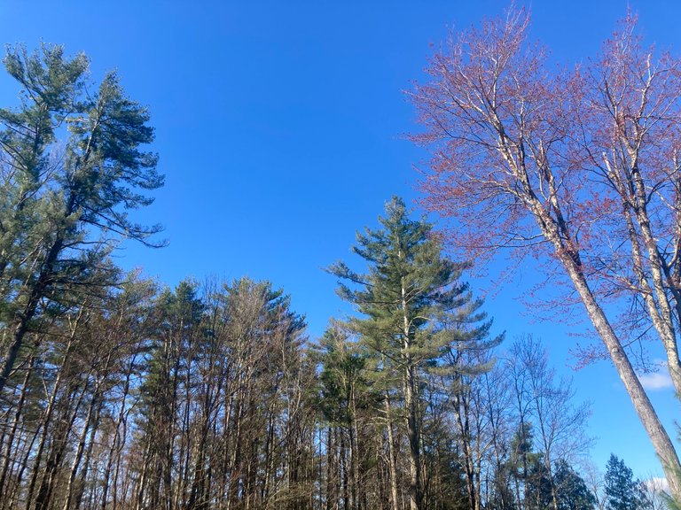 Blue sky