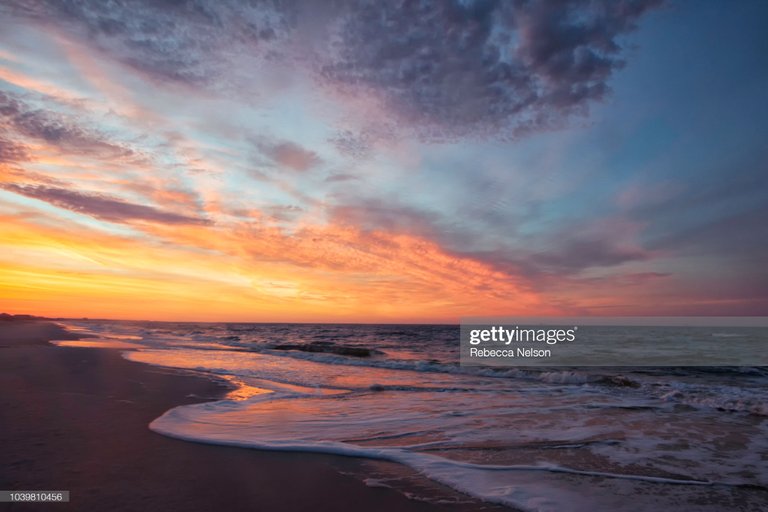 gettyimages_1039810456_2048x2048.jpg