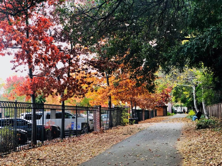 fall_12.jpg