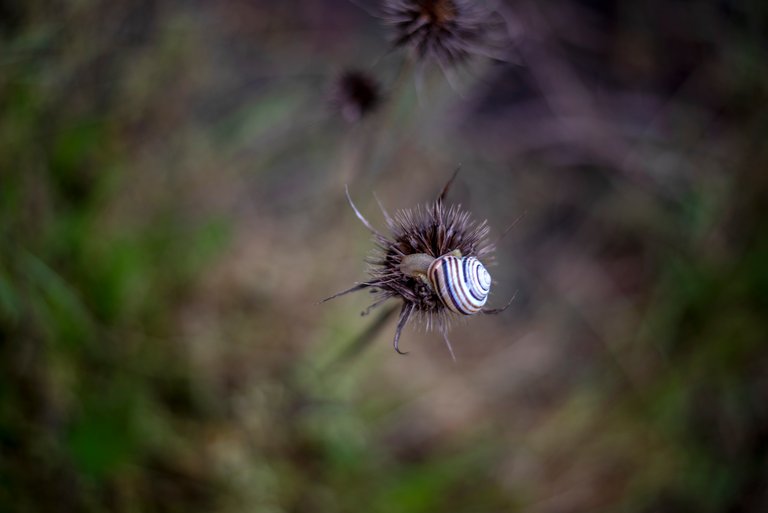 Someone is watching me - lovely Spring 
