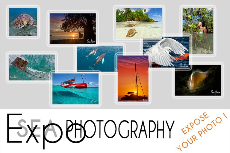 seaphotography_expo.jpg