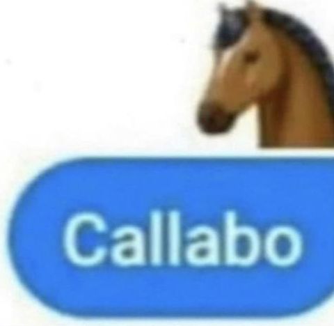 callabo.png