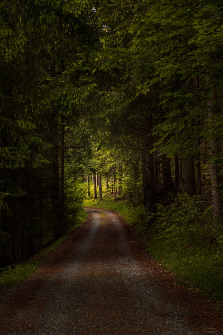 Every dark forest path ends in a clearing at some point 