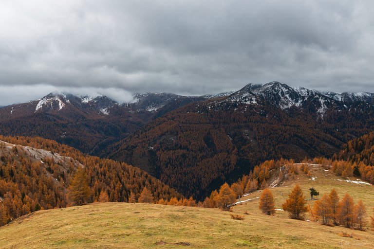 Orange Mountains / Autumn in Austria