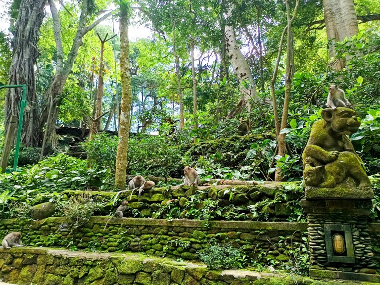 Selfie with The Monkeys in Ubud Monke Forest