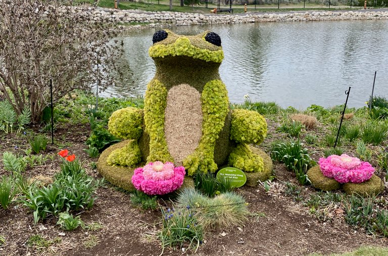 Frog