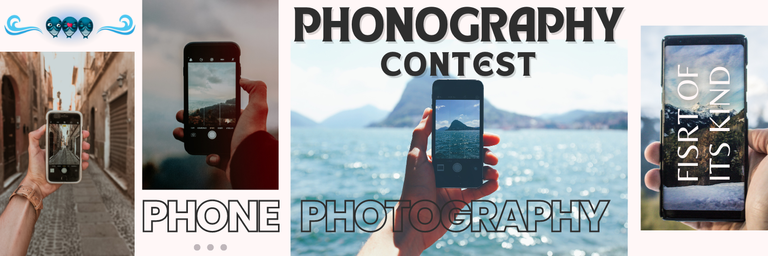 WINNERS of Phone Photography contest #15