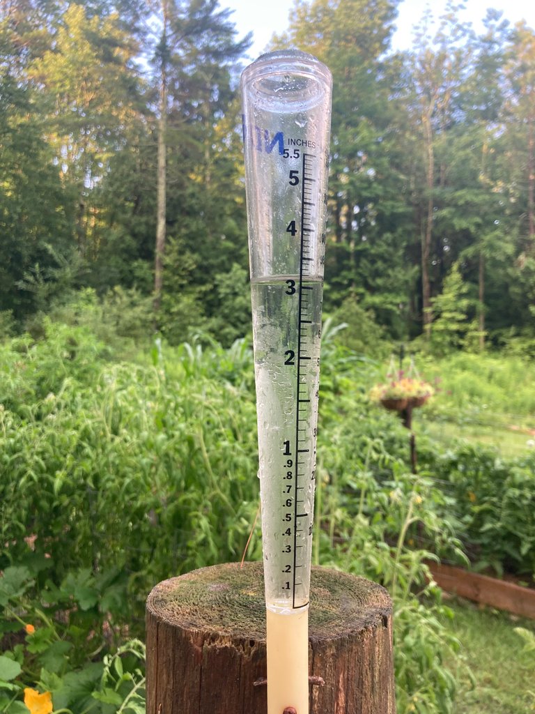 Rain gauge