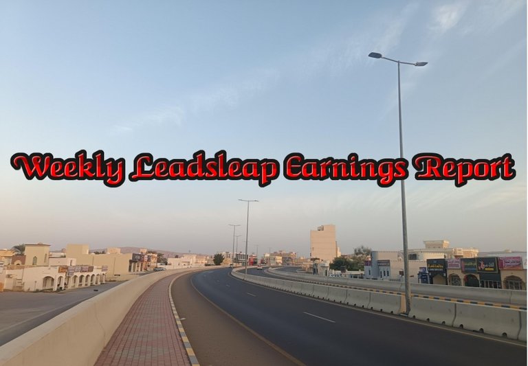 Weekly Leadsleap Earnings Report (Aug 01, 2025) | My Weekend Diary (Aug 01)