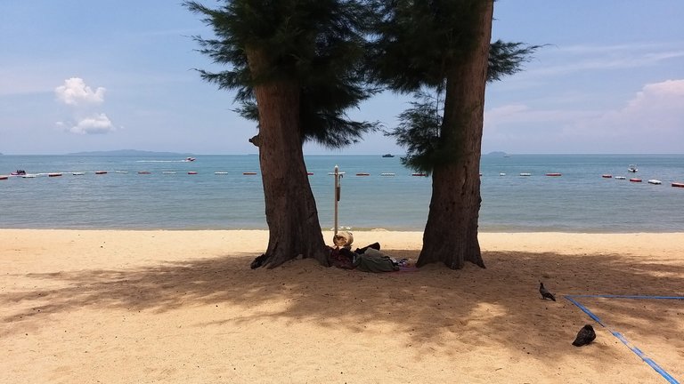 kohsamui99_1212u.jpg