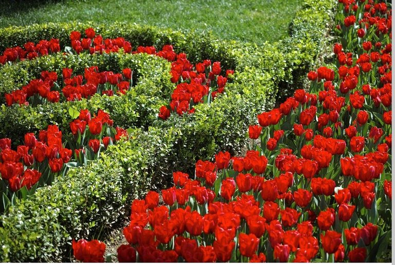 Sometimes Silence Says More Than Words