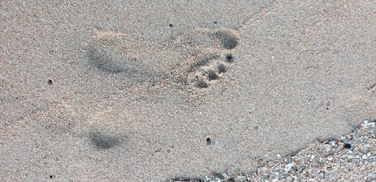 footprint15u.jpg