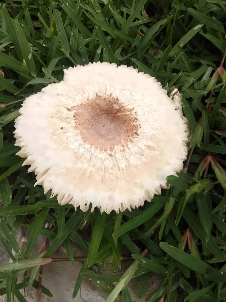 I Get Excited, When I see One of Nature's Beauty