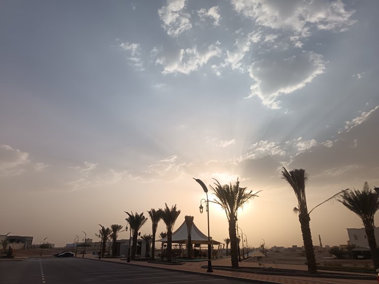 My Weekend Diary | Alive and Thriving on Aug 29, 2025 | Some Photography