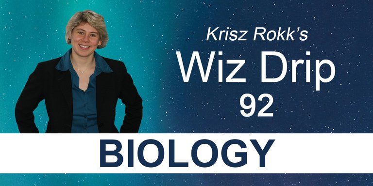 Krisz Rokk's Wiz Drip 92 - Biology