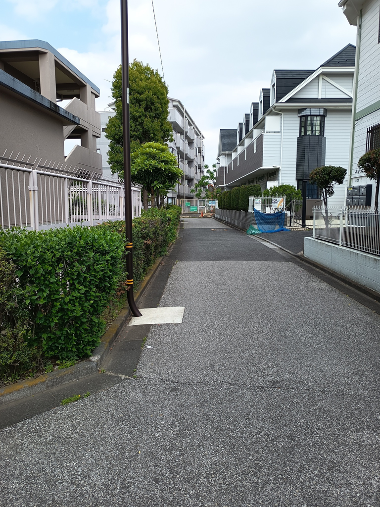 Phone Photography Contest: A Stroll in a Japanese Neighborhood Park