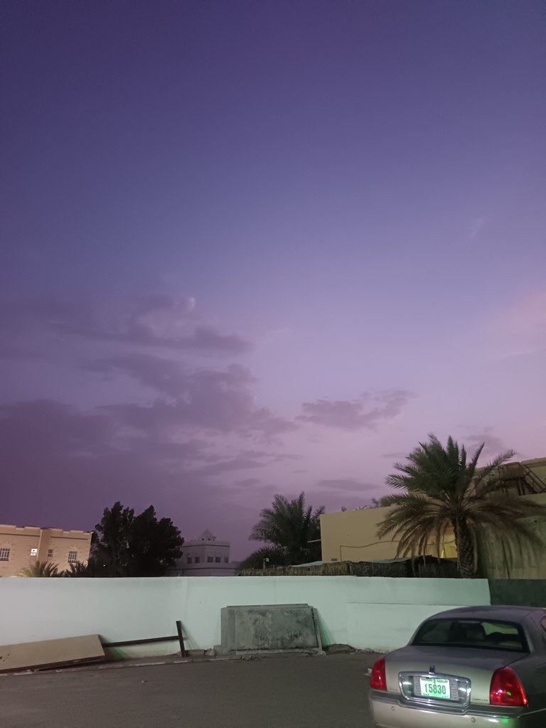 Short Saturday Diary | Alive and Thriving on Aug 30, 2025 | Some Photography