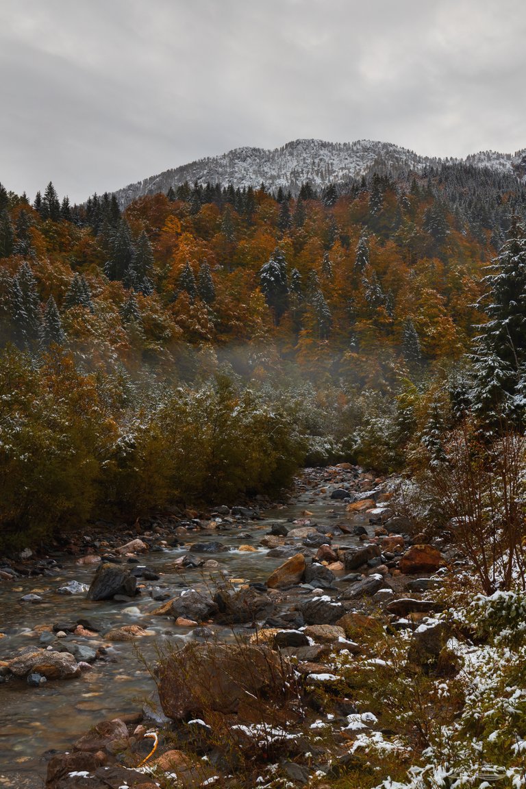 Snowy Mountains : Foggy Valley - view up to the mountains in the south