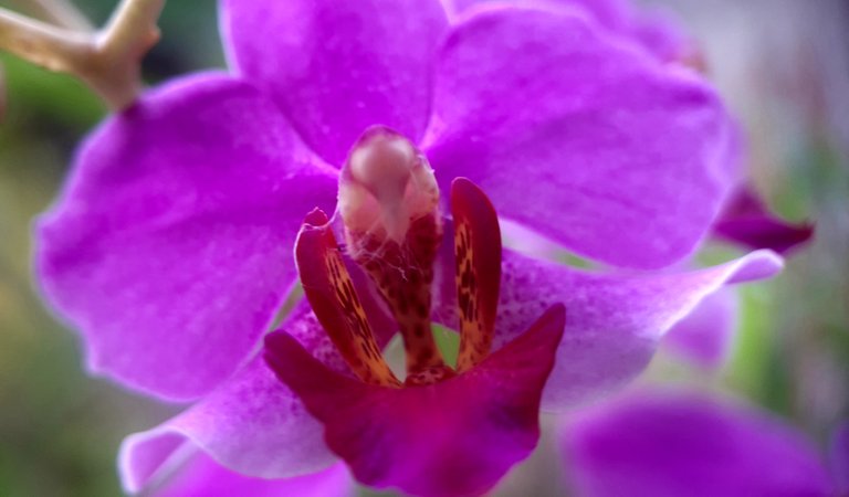 img_0.7291553552704082.jpg