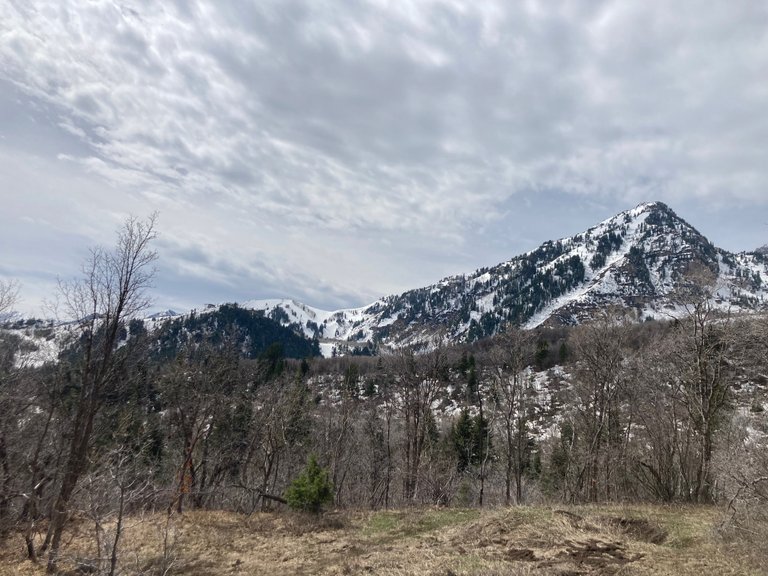 Mountains