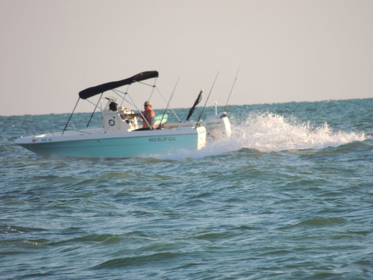 dscn4155.jpg