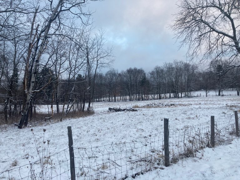 Field under the snow