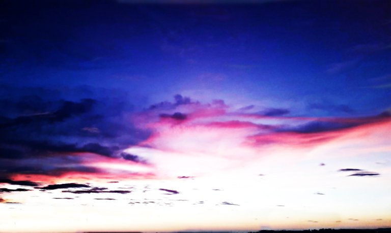 20210722_185548.jpg