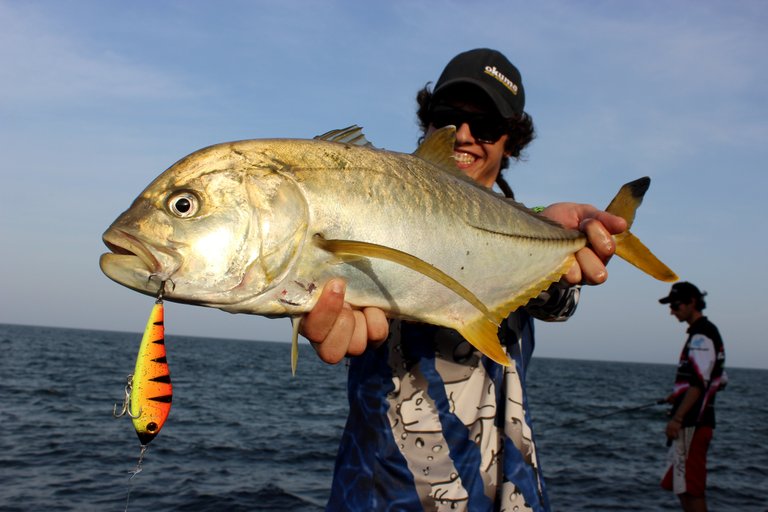 blacktip_trevally.jpg