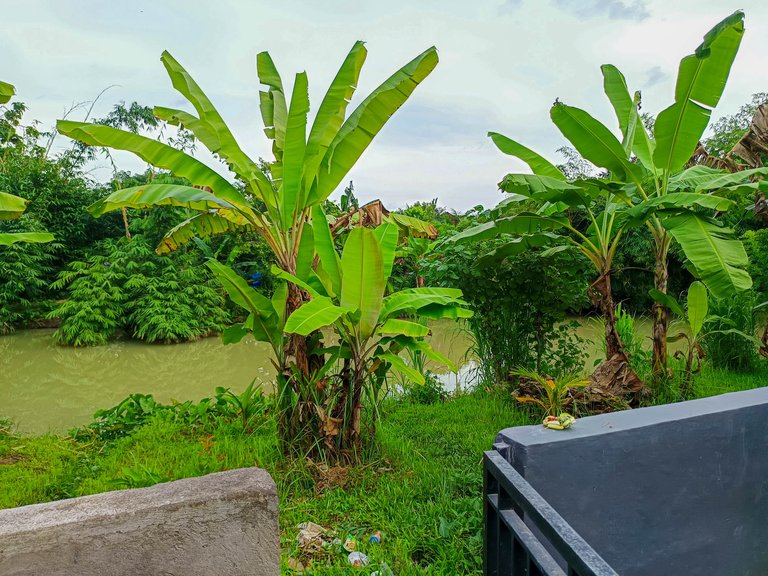 Balinese Traditions: How We Prepare Segehan Every Day