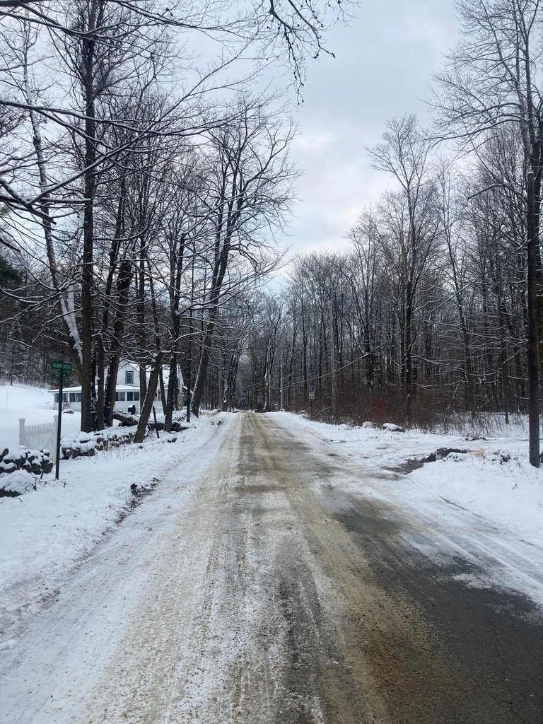 Road past farmhouse