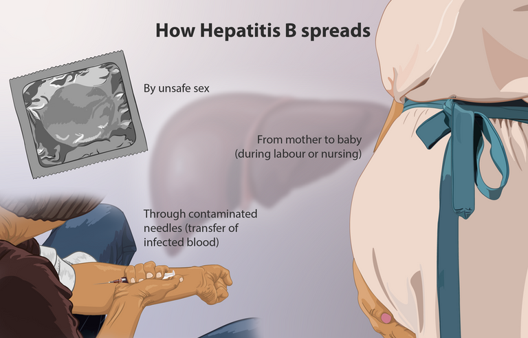 hepatitis_b.png