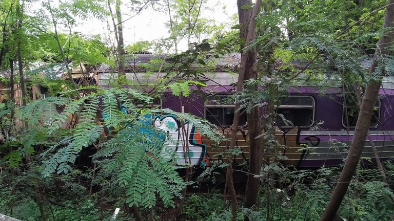 makaasak_train_grave_yard_bangkok_streets_august_2020_297.jpg