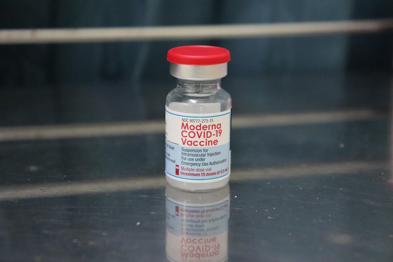 The importance of vaccines/ theories surrounding it 

