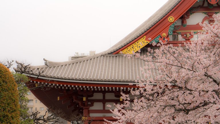 Experience the Soul of Tokyo: Asakusa's Ancient Temples and Vibrant Markets