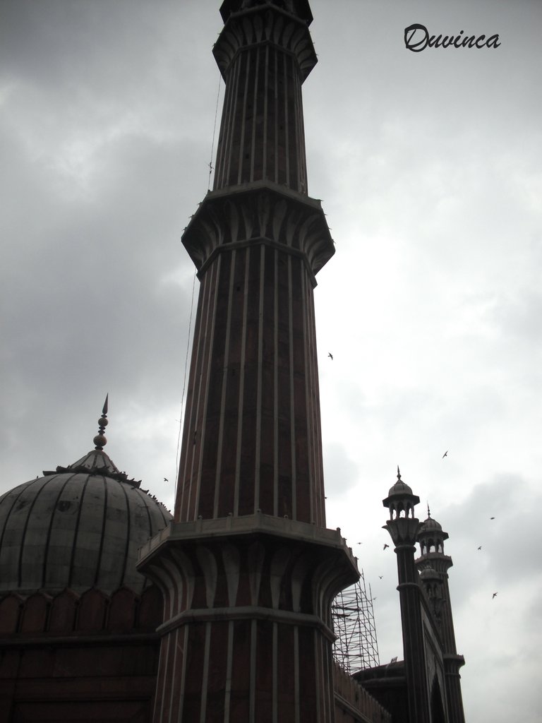 delhi_mezq_1_078.jpg