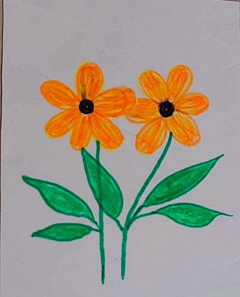 Twin flowers