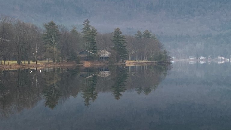 Fog in Camp