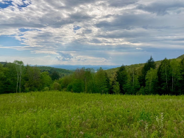 Overlook