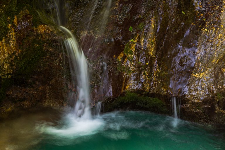 Intimate Landscape Photography - Sunikov Vodni Gaj - Sunik Water Grove, Slovenia