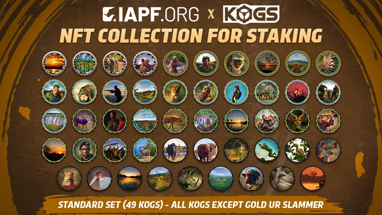 iapf_staking_standard_set_1200x675_.jpeg