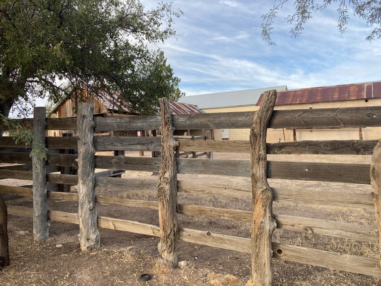 old fence posts